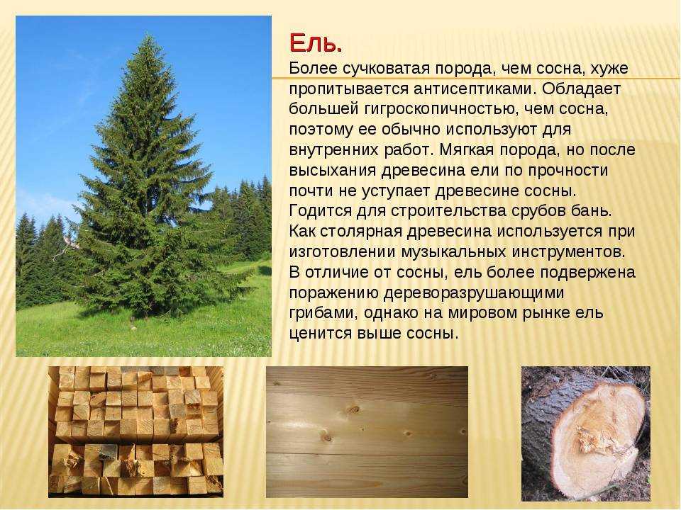 Применение мебельных щитов для отделки: разновидности, рекомендации по выбору