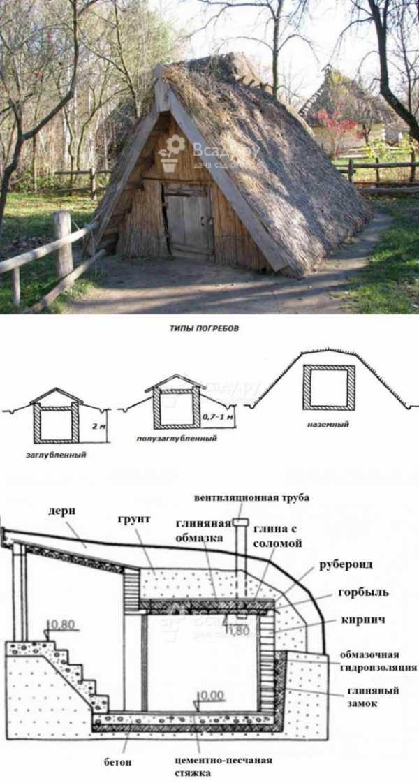 Погреб своими руками на даче: чертежи, размеры, фото