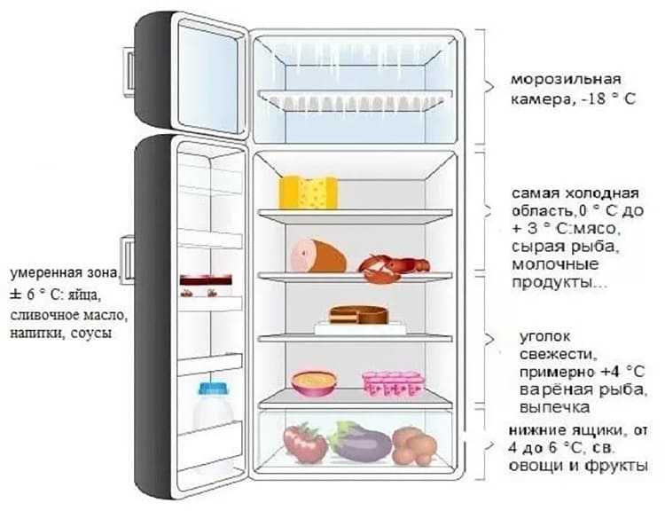 Выбор морозильной камеры для дома