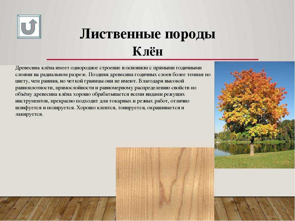 Оттенки бежевого: сочетание с другими цветами в интерьере: гостиная комната в бежевых тонах с яркими акцентами - 33 фото