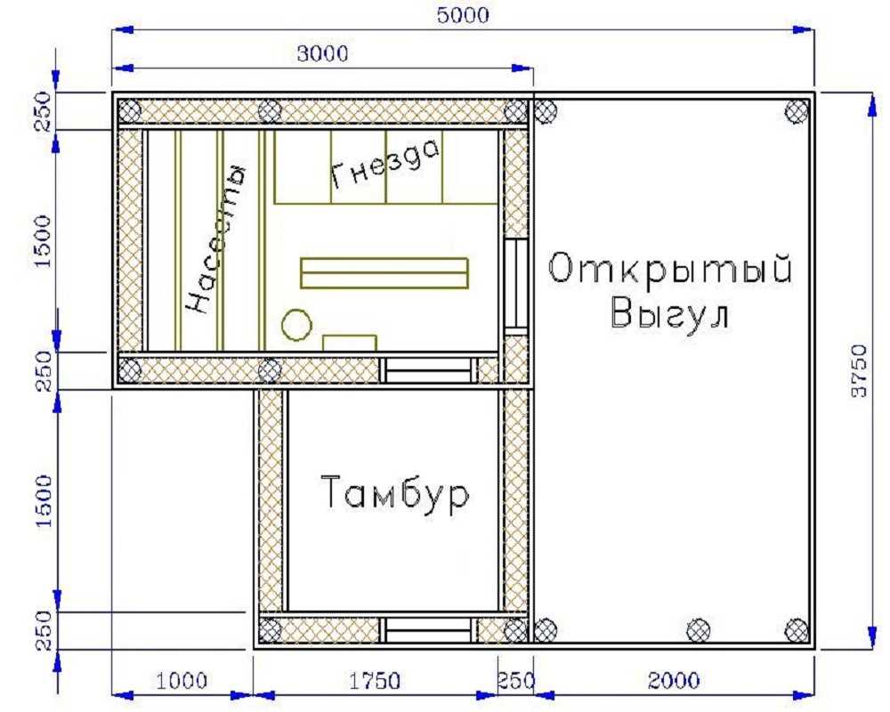 Курятник своими руками на 50 кур
