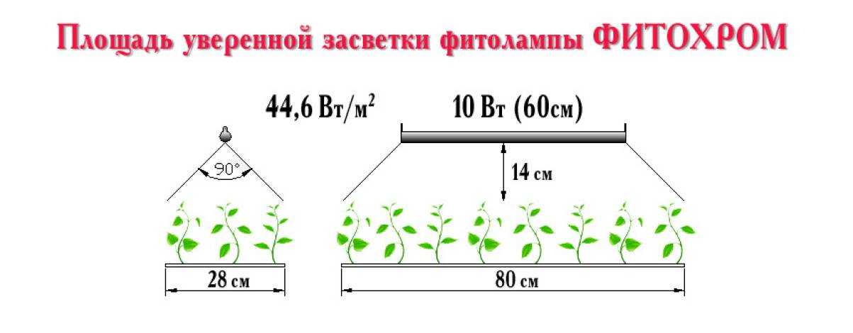 Простая led фитолампа для растений своими руками