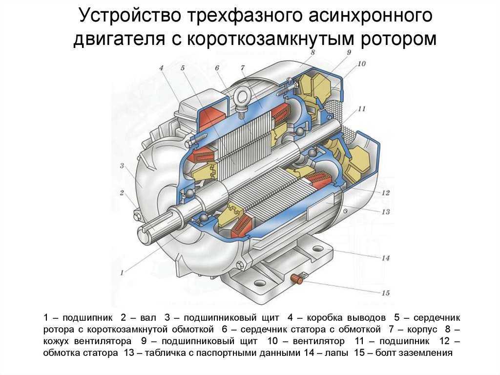 Однофазный асинхронный электродвигатель
