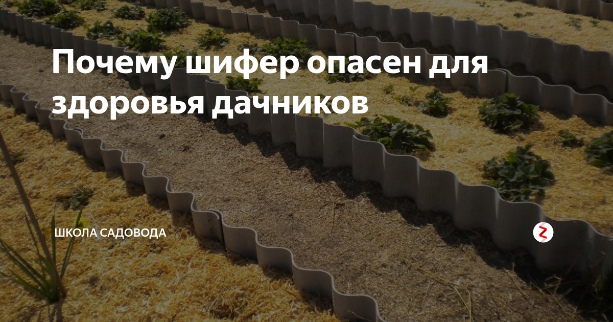 Вредны ли асбоцементные листы для здоровья, ведь в них асбест?