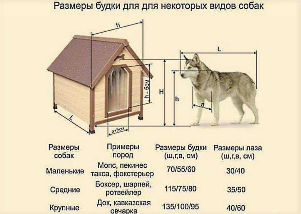 Будка для хаски: основные требования и правила снятия мерок с питомца для постройки будки или вольера Как правильно выбрать место для будки Что лучше купить готовый вариант или сделать своими руками