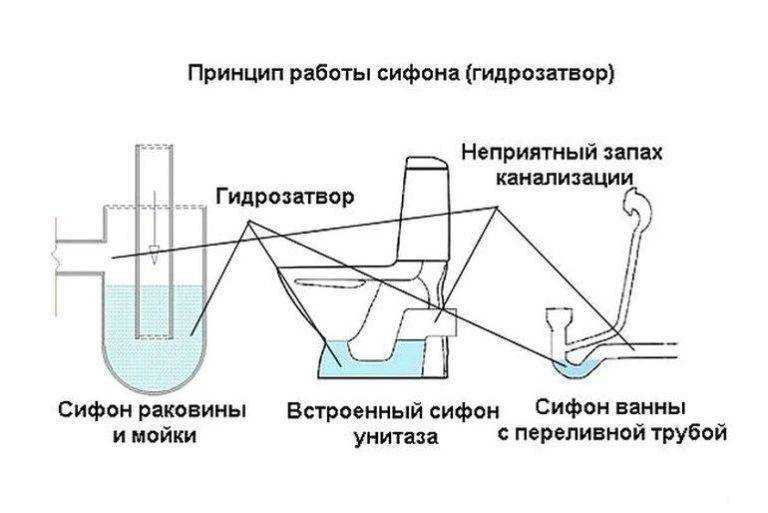 Запах из канализации в частном доме или квартире: что делать, как устранить - гидканал
