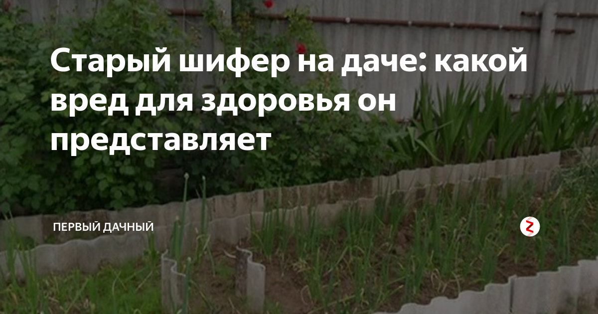 Чем вреден шифер для здоровья - опасность асбестоцемента