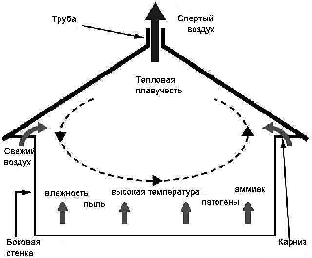 Вентиляция в сарае своими руками: принципы работы, плюсы и минусы, схема, а также как правильно сделать в помещении с животными – курами и свиньями?