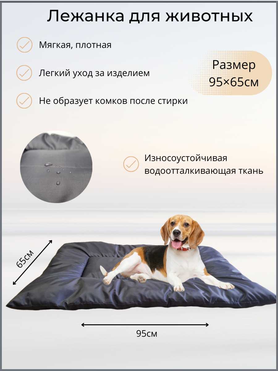 Зачем собаке собственное место и чем мебель для питомца полезна его хозяину