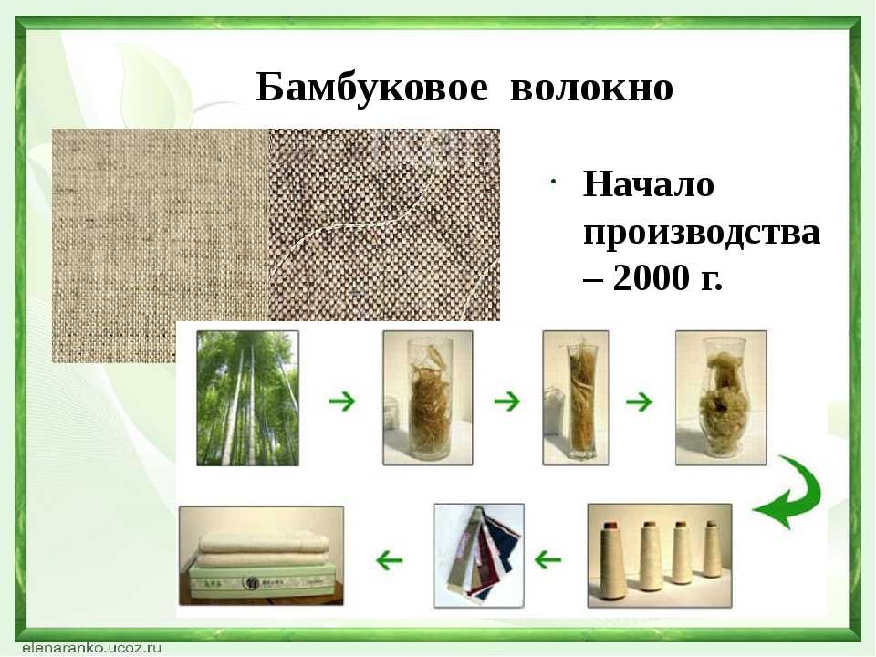Бамбуковый пол — экзотика или отличное соотношение цены и качества?